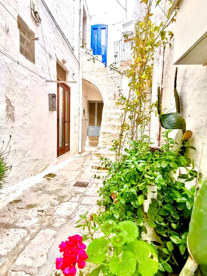 White Stone- La Terrazza Vila Ostuni Exterior foto
