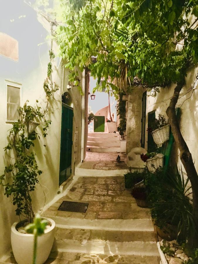 White Stone- La Terrazza Vila Ostuni Exterior foto